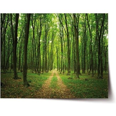 Sablio Plakát Cesta v lese - 90x60 cm