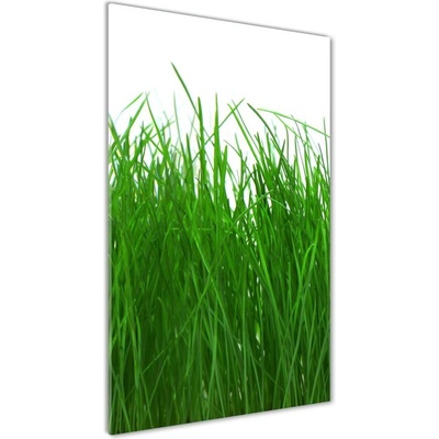 Vertikálny fotoobraz na skle Tráva 50x100 cm