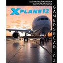 X-Plane 12
