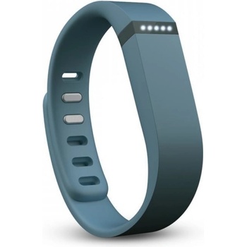 Fitbit Flex