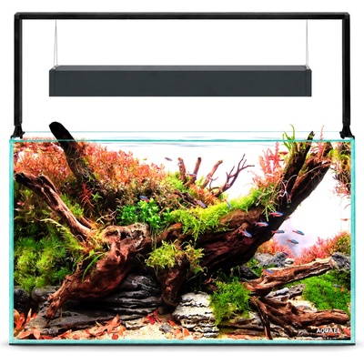Aquael UltraScape set 60 forest 60 x 30 x 36 cm