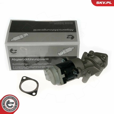 AGR-Ventil ESEN SKV 14SKV089