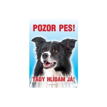 Grel Tabulka pozor pes kolie border