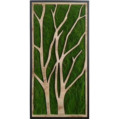 Green Deco Mechový obraz Strom, 100 × 50 cm OB-22670