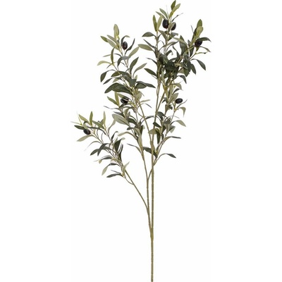 KONÁR OLIVOVNÍK, ČIERNE OLIVY 80CM