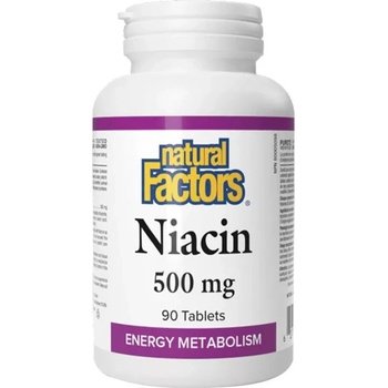 Natural Factors Niacin 500 mg, 90 Tablets