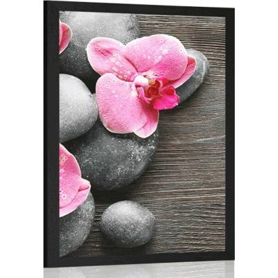 Plakát elegantní kompozice s květinami orchideje - 40x60 no frame
