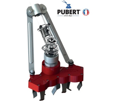 PUBERT W4