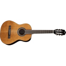 Tanglewood EM C2