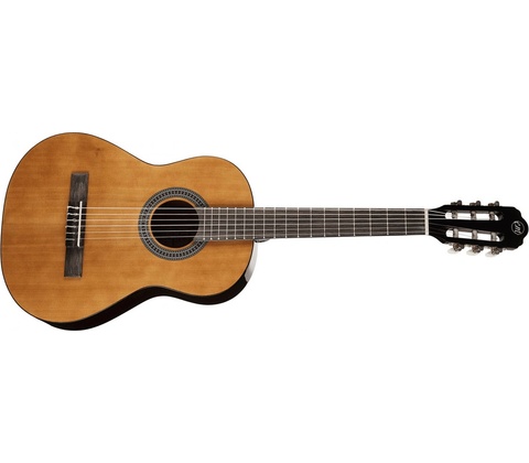 Tanglewood EM C2