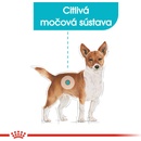 Royal Canin Urinary S/O 85 g