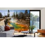 DIMEX ART Самозалепваща се флизелинова фототапета парк йелоустоун 375 x 250 см