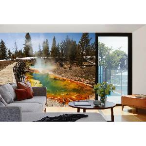 DIMEX ART Самозалепваща се флизелинова фототапета парк йелоустоун 375 x 250 см