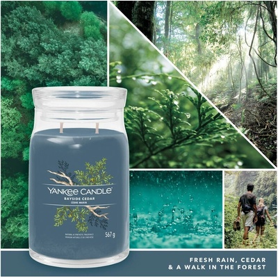 Yankee Candle Signature Bayside Cedar 567g