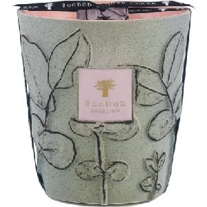 Baobab Collection Folia Maquis Ароматна свещ, 16 см (MAX16FMAQ)