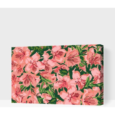 Vymalujsisam Malování podle čísel Růžové květy 2