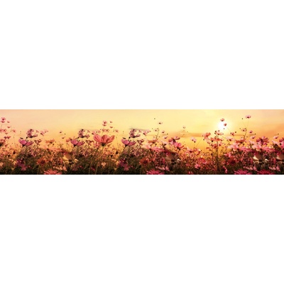 Dimex KI260-130 Fototapeta do kuchyně Flower Field rozměry 260 x 60 cm