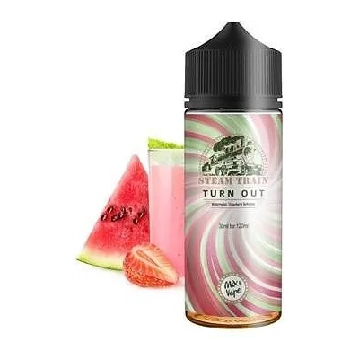 Steam Train Turn Out 30ml/120ml