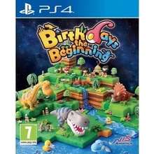 Birthdays the Beginning