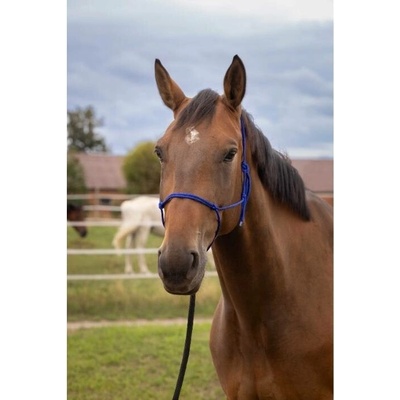 Provazová ohlávka NORTON Soft královsky modrá – Zboží Dáma Provazová ohlávka NORTON Soft královsky modrá – Zboží Dáma