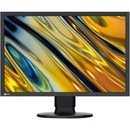 Eizo CS2400R