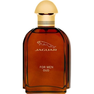 Jaguar Oud For Men parfumovaná voda pánska 100 ml