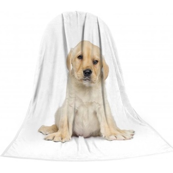 TEXSTAR deka štěně