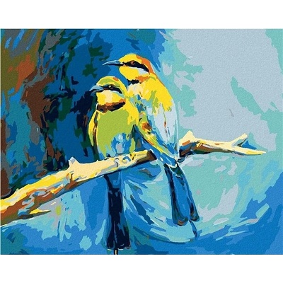 zuty Malování Podle Čísel Barevní Ptáčci Na Modrém Pozadí 80 x 100 Cm Plátno Rám