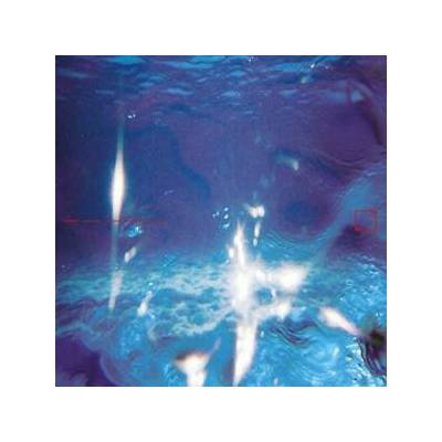 Fabiano Do Nascimento, E Ruscha V - Aquaticos LP