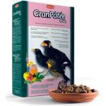 Padovan GranPatee - Fruits - Пълноценна храна за насекомоядни птици с плодове 1кг