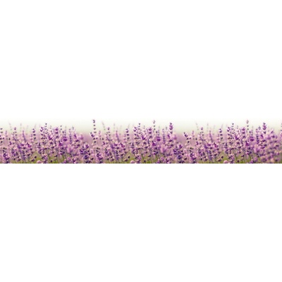 Dimex KI260-125 Fototapeta do kuchyně Levander Field rozměry 260 x 60 cm
