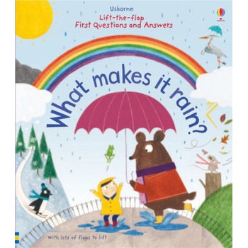 Lift-the-Flap First Questions and Answers What Makes it Rain? - Daynes Katie