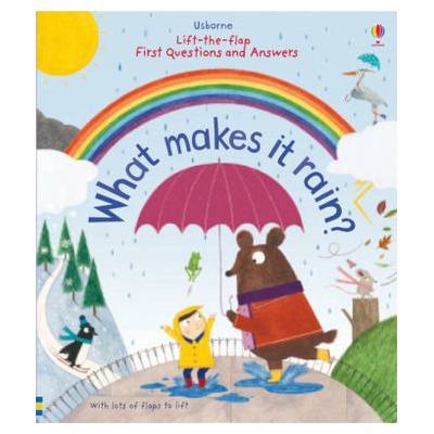 Lift-the-Flap First Questions and Answers What Makes it Rain? - Daynes Katie
