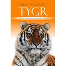 Tygr