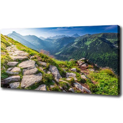 Foto obraz canvas Východ slnka Tatry 100x50 cm