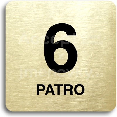 ACCEPT Piktogram 6 patro - zlatá tabulka - černý tisk bez rámečku
