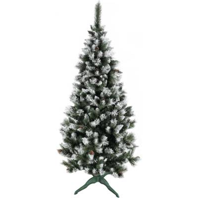 zanapo.cz Borovice Dziki diamond 220 cm