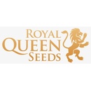 Royal Queen Seeds OG Kush semena neobsahují THC 1 ks