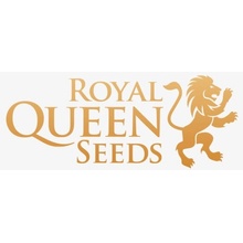 Royal Queen Seeds OG Kush semena neobsahují THC 5 ks