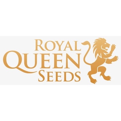 Royal Queen Seeds Purplematic CBD 0 % THC 5 ks Balenie: 10 ks