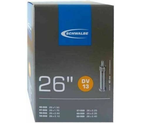Schwalbe DV