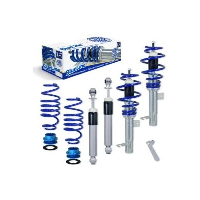 Регулируемо окачване ford fiesta (2001-2008)