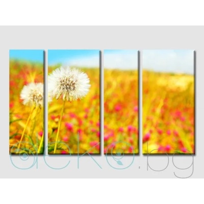 Поле с глухарчета - 4 части (45030)