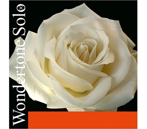 Pirastro WONDERTONE 310321