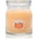 Yankee Candle Slopeside Spritz ароматна свещ Signature 368 гр