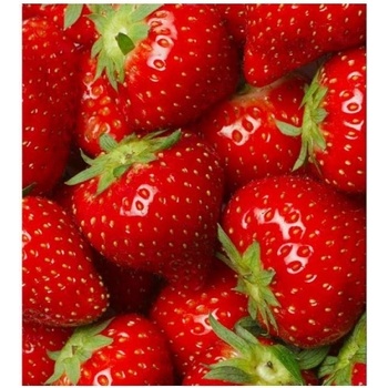 DIMEX ART s. r. o Флизелинов фототапет ягоди 225 x 250 см