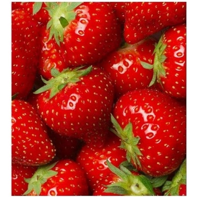 DIMEX ART Флизелинов фототапет ягоди 225 x 250 см