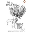 Ancient Light Penguin Essentials