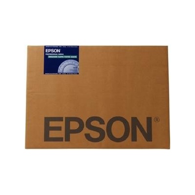 Epson C13S042110