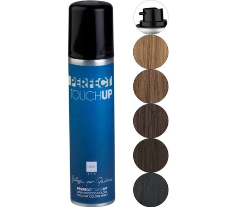 Labor Pro Perfect TouchUp Sprej na šediny a odrosty Blond tmavá 75 ml